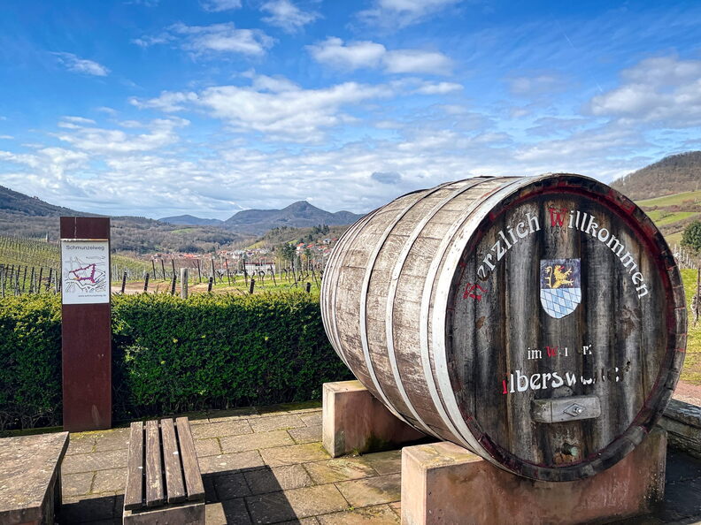 23-03-13 11-33-48 4843